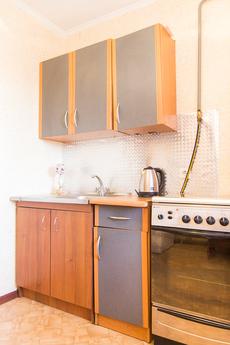 Ilinskaya. Center. McDonalds. Novostroy, Sumy - apartment by the day
