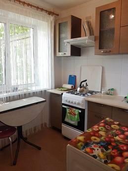 One room apartment by the sea, Chernomorsk (Illichivsk) - apartment by the day