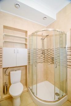 Апартаменты студио Lviv hollidays, Львов - квартира посуточно