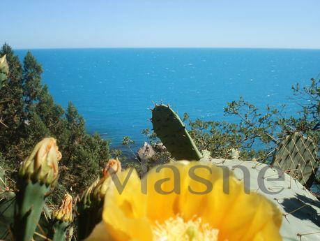 Rent detached house in Kastropol (District Foros)! Located a