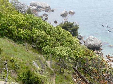 Detached house in Kastropol!, Yalta - apartment by the day