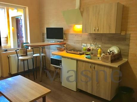 Studio apartment at private apartment, Lviv - apartment by the day