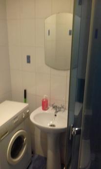Dvuhkomn cozy studio with two air condit, Kyiv - apartment by the day