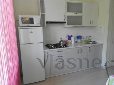 Great apartment after the euro-repair, Simferopol - apartment by the day