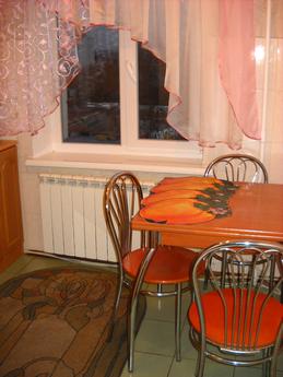 Cozy 1 bedroom apartment near the center, Kyiv - apartment by the day