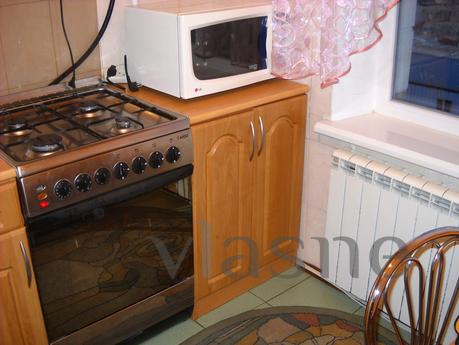 Cozy 1 bedroom apartment near the center, Kyiv - apartment by the day