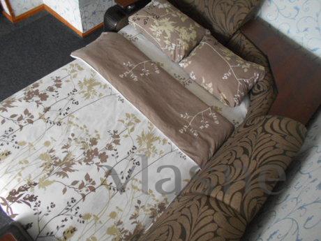 Daily hourly in the center of the state., Chernihiv - apartment by the day