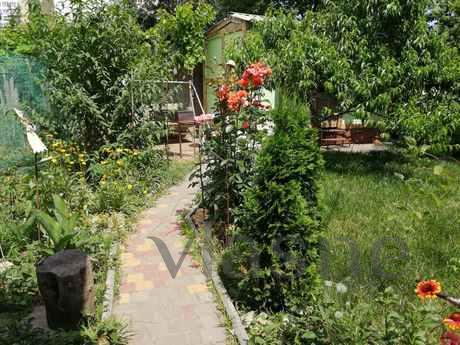 9Fontana Cottage on the Sea 3-5min.v swi, Odessa - apartment by the day