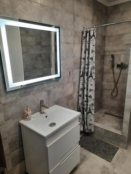 1k apartments for daily rent from 450 to 650 UAH per day, so