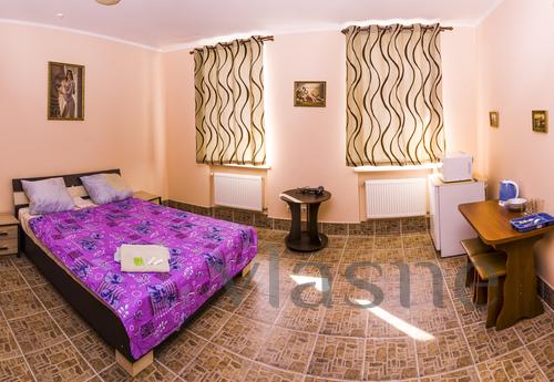 Apartments for rent and hourly from 250 , Sumy - apartment by the day