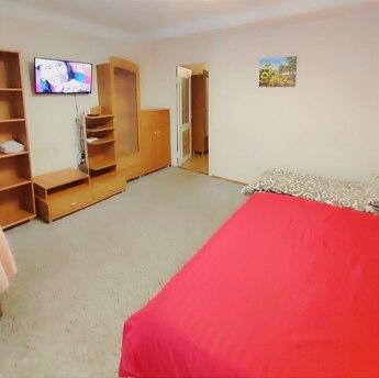 1 sq.m. Shalimova, NAU, Kyiv - apartment by the day