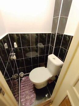 1 sq.m. Shalimova, NAU, Kyiv - apartment by the day