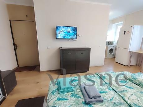 1к кв автовокзал,м Деміївська, Ягідна, Киев - квартира посуточно