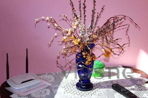 Its cozy apartment, WI-FI, Odessa - apartment by the day
