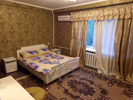 Spacious apartment in the center of Kyiv, Kyiv - apartment by the day