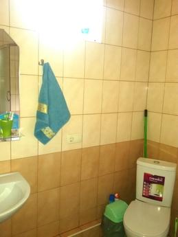 Nyvky, Beresteyskaya, Svyatoshin by the, Kyiv - apartment by the day