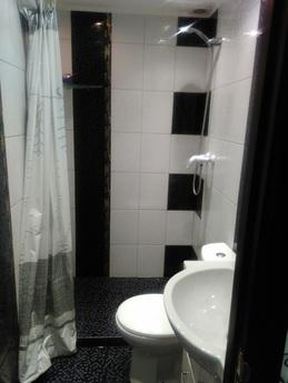 1 bedroom apartment for rent, Lviv - apartment by the day