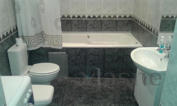 Center apartment 4 rooms, Kyiv - apartment by the day