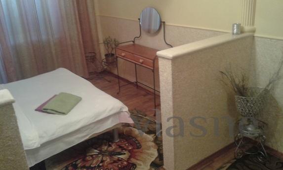 Center apartment 4 rooms, Kyiv - apartment by the day