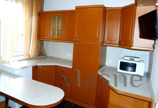 Cozy apartment near the metro station, Kyiv - apartment by the day