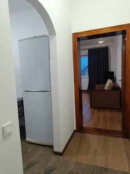 Similar rental of a one-room apartment, Chernivtsi - apartment by the day