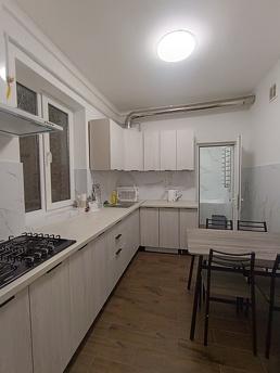 Similar rental of a one-room apartment, Chernivtsi - apartment by the day