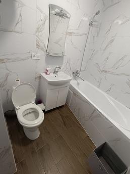 Similar rental of a one-room apartment, Chernivtsi - apartment by the day