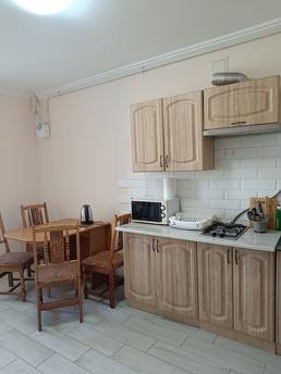 Similar rental of a one-room apartment, Chernivtsi - apartment by the day