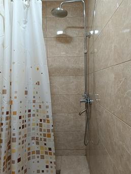 Two-room apartment in the center, Chernivtsi - apartment by the day