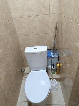 Two-room apartment in the center, Chernivtsi - apartment by the day