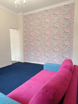 2-room apartment on Kobilyanskyi, Chernivtsi - apartment by the day
