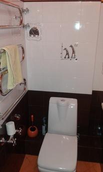 1rooms. Apartment m.Livoberezhna, Kyiv - apartment by the day