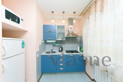 City center, Kyiv - apartment by the day
