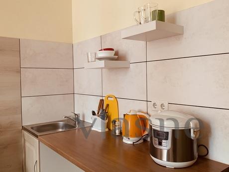 Economy studio in Irpen, Irpin - apartment by the day