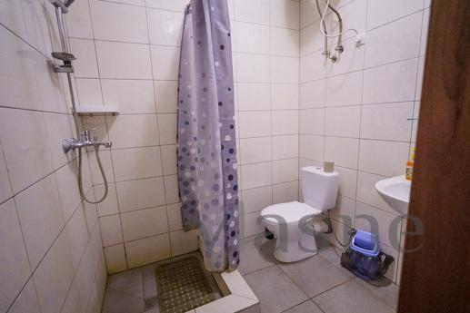 Economy studio in Irpen, Irpin - apartment by the day