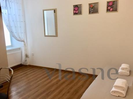 The apartment is spacious and cozy., Lviv - apartment by the day