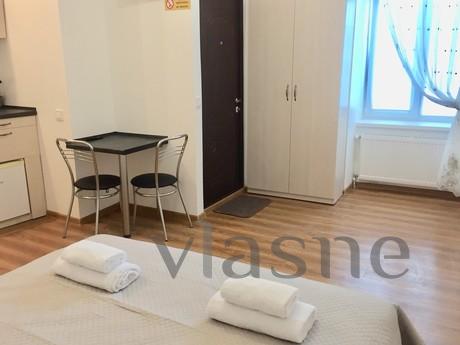 The apartment is spacious and cozy., Lviv - apartment by the day