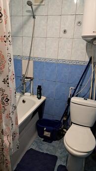 I'm looking for an apartment for rent in Dobovo, Kamenskoe (Dniprodzerzhynsk) - apartment by the day
