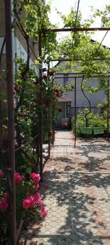 Rent a house like this on Karolino Bugazi, Odessa - apartment by the day