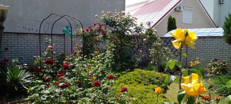 Rent a house like this on Karolino Bugazi, Odessa - apartment by the day