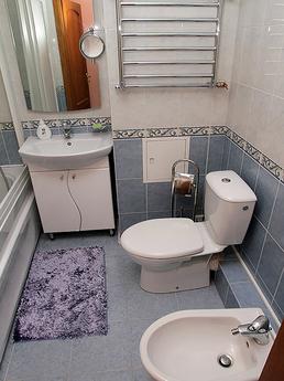 2 bedroom apartment on Independence, Kyiv - apartment by the day