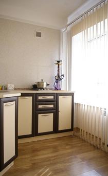 Daily rent 2-room semi-luxury at the Small Market, Zaporizhzhia - apartment by the day