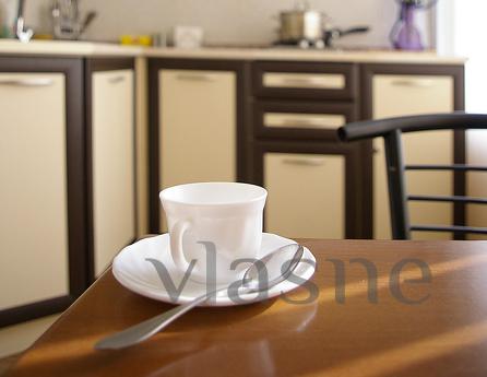 Daily rent 2-room semi-luxury at the Small Market, Zaporizhzhia - apartment by the day
