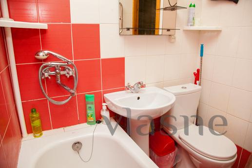 1 room Junior Suite on iny st. 65b, Zaporizhzhia - apartment by the day