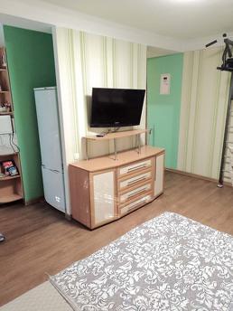 1 room Junior Suite on iny st. 65b, Zaporizhzhia - apartment by the day