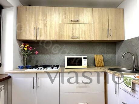 1 room Lux studio, Patrioticheskaya st., 56a, Zaporizhzhia - apartment by the day