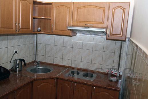 The apartment is near to the center, Lviv - apartment by the day