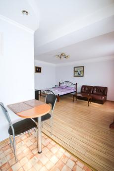 Rent 1k apartment near the center of Kiev Rent 1k apartment near the center of Kiev, Kyiv - apartment by the day