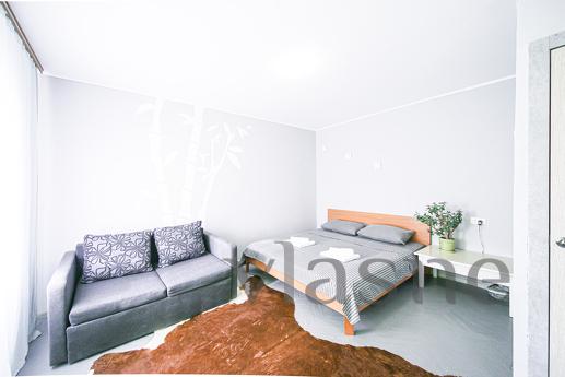 Оренда 1к квартири, Володимирська, 89 Апартаменти розташовані в центрі Києва за адресою: вул. Воло