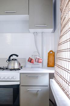 Оренда 1к квартири, Володимирська, 89 Оренда 1к квартири, Володимирська, 89, Киев - квартира посуточно